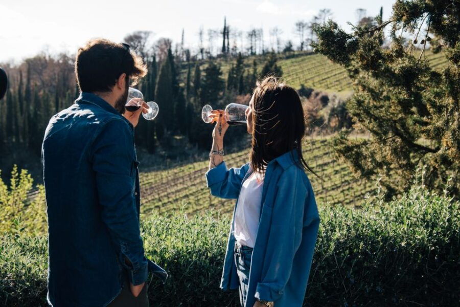 From Florence: Chianti Hills Half-Day Tour With Wine Tasting - Good To Know