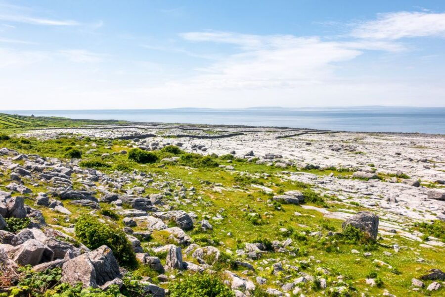 From Galway: Full-Day Cliffs of Moher & Burren Tour