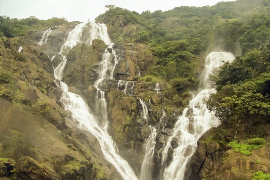 From Goa: Dudhsagar Waterfalls & Plantation Tour - Good To Know