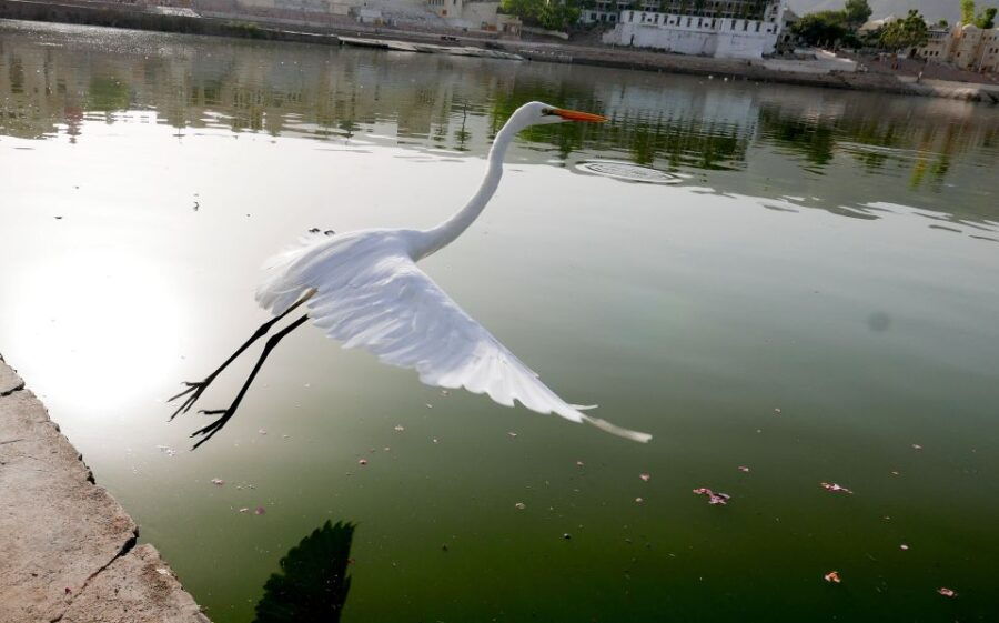 2 Best Self-Guided Tours In Jaipur