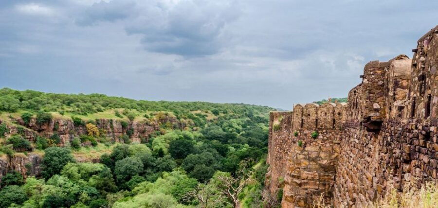 From Jaipur: Same Day Ranthambore Excursion - Good To Know