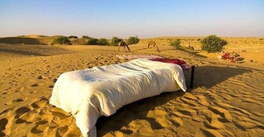 From Jaisalmer : Overnight Stay Under Stars WithCamel Safari