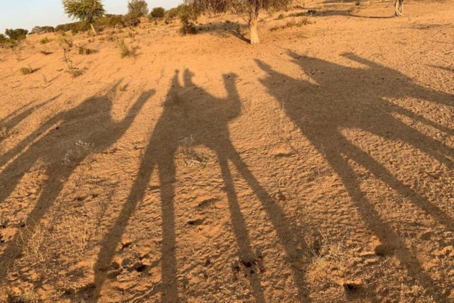 From Jodhpur: Overnight Stay in Desert With Camel Safari - Good To Know