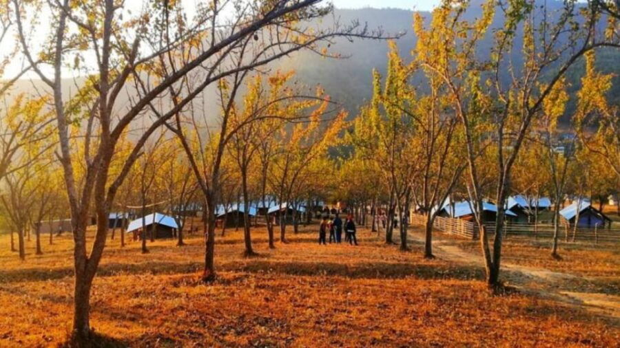 From Kathmandu: Chitlang, Kulekhani, and Markhu 2-Day Tour - Good To Know