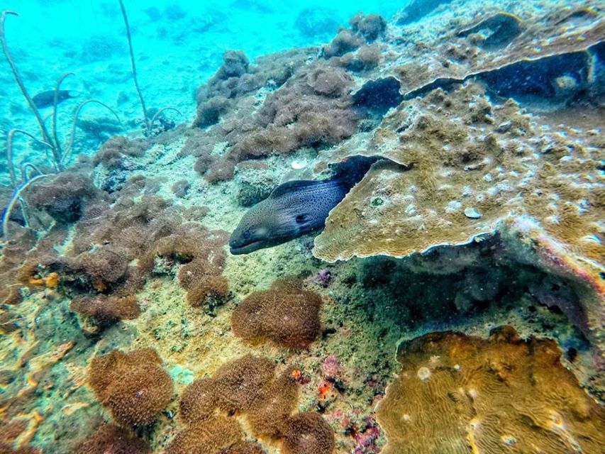 From Ko Lanta: 4 Islands Snorkeling Tour by Long Tail Boat