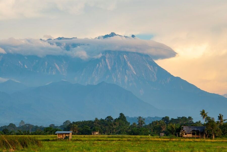 From Kota Kinabalu:Kundasang Private Tour Poring Hot Spring - Good To Know