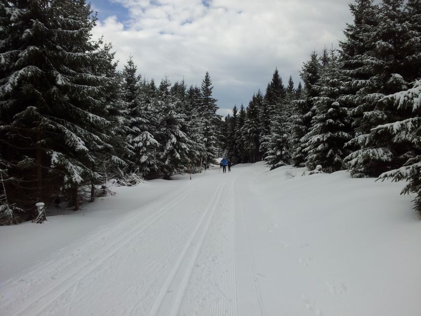 From Leipzig: Return Transfer to Fichtelberg Ski Run