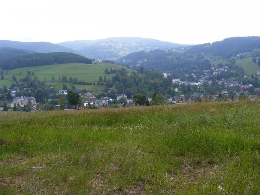 From Leipzig: Vogtland Music Day Trip