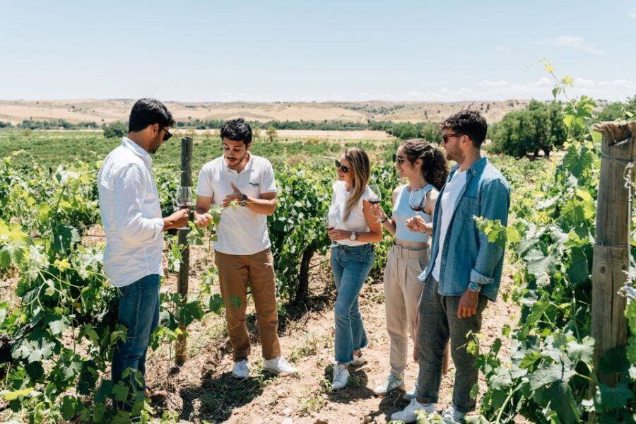 From Madrid: Toledo City Tour and Wine Tasting Experience - Good To Know