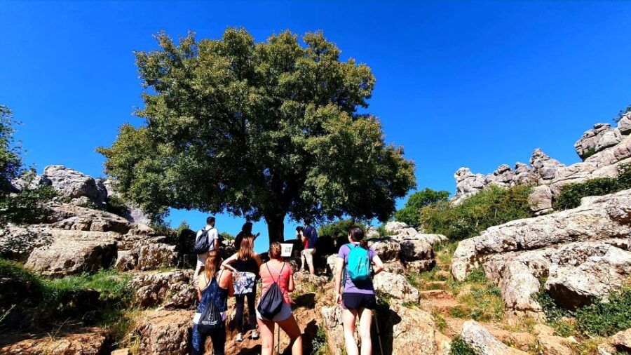 From Malaga: VIP Antequera Torcal Hiking and Dolmens Site - Good To Know