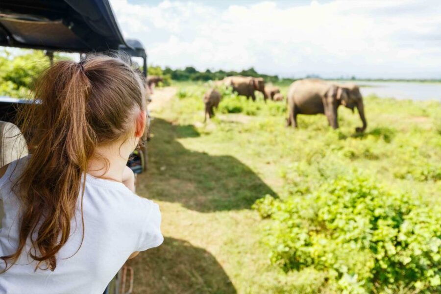From Negombo: Minneriya National Park Safari Tour - Good To Know