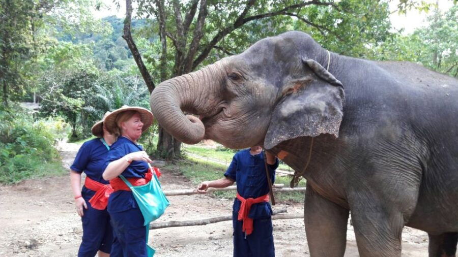 From Phuket: Elephant Care Experience With Rafting & Zipline - Good To Know