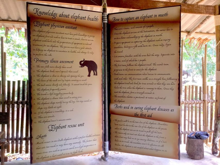 From Phuket & Khao Lak: Elephant Care With Waterfall Visit - Good To Know