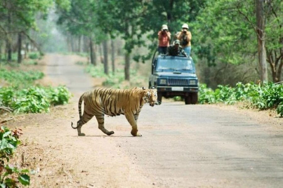 From Pokhara: 3-Day Wildlife & Culture Jungle Safari Tour - Good To Know