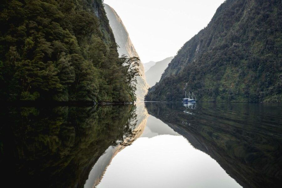 From Queenstown: Premium Doubtful Sound Wilderness Day Trip - Good To Know