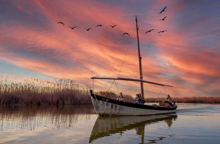 From Valencia: Albufera Day Trip With Boat Tour and Transfer - Good To Know