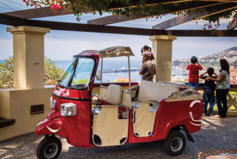Funchal Viewpoints: 90-Minute Guided Tuk Tuk Tour - Good To Know