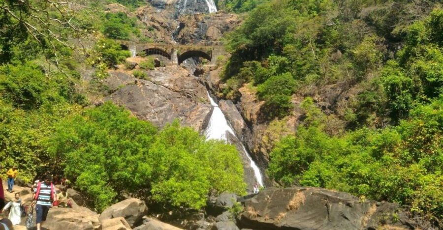 Goa: Dudhsagar Waterfall & Spice Farm Tour With Jeep Safari