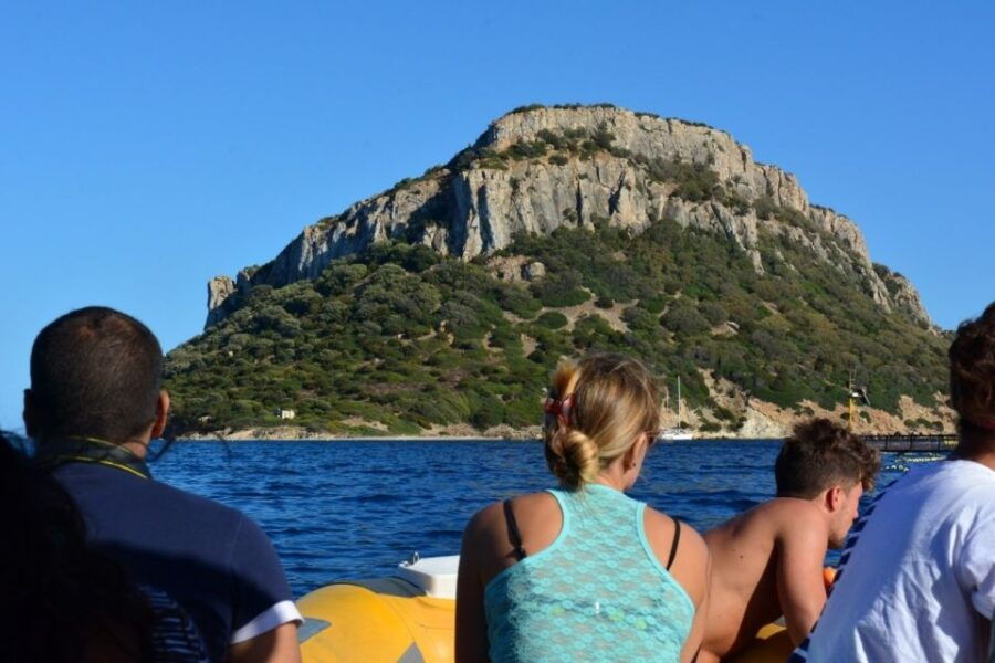 Golfo Aranci: Eco-Friendly Dolphin Watching Boat Trip - Good To Know