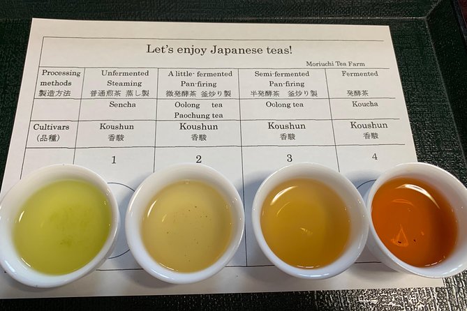 Guided Bike Tour to a Green Tea Farm in Shizuoka - Good To Know