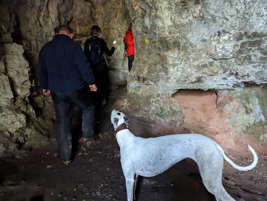 Guided Riverside Walk King Arthur's Wye Valley From Cardiff - Good To Know