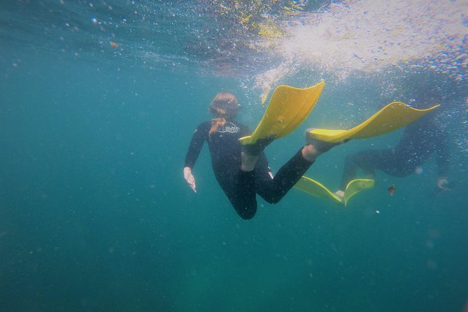 Guided Snorkel Experience, Advanced - Good To Know