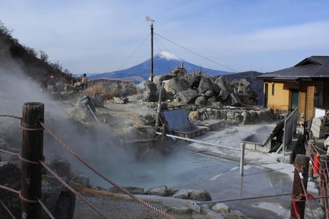 Hakone Full-Day Private Tour - Tour Details