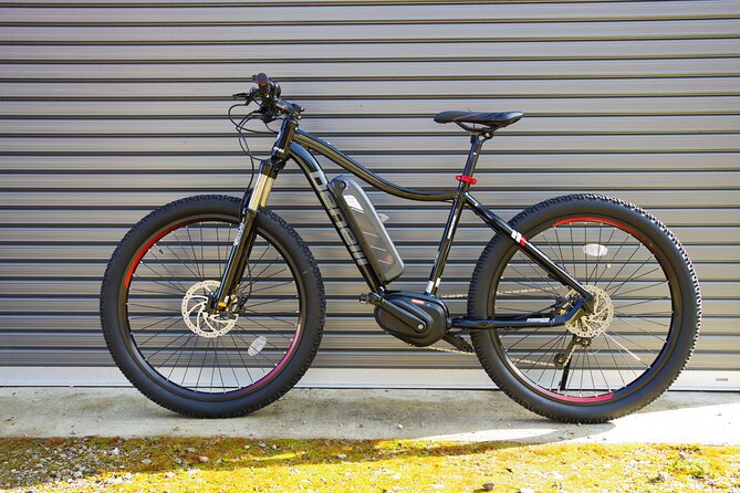 Half Day E-Bike Adventure Tour in Nagano - Good To Know