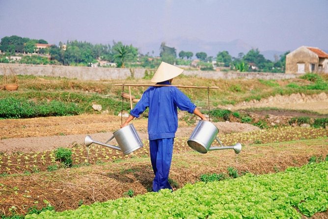 Half-day HOI AN COUNTRYSIDE ADVENTURE BY ELECTRIC SCOOTER