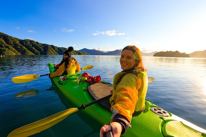 Half Day Sea Kayak Guided Tour From Picton