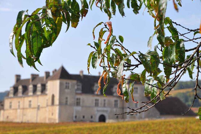 17 Best Tours In Dijon