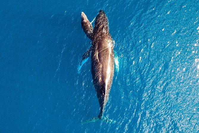 Half-Day Tour to Buccaneer Archipelago and Dampier Peninsula - Broome