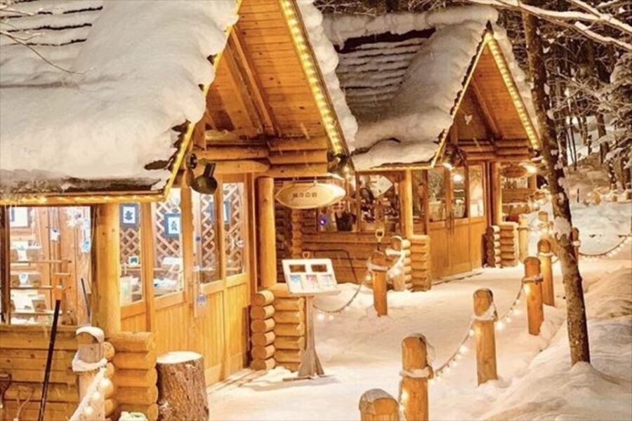 Hokkaido 1 Day Tour: Asahiyama Zoo and Ningle Terrace