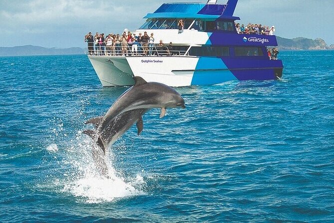 Hole in the Rock Scenic Cruise Including Dolphins and Island Stop