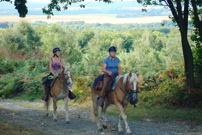 Horse Riding in the French Countryside - Good To Know