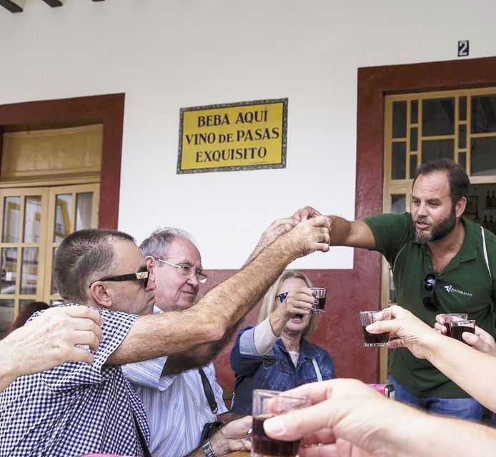 4 Best Wine Tours In Jerez De La Frontera