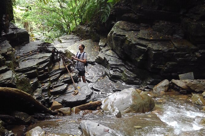 Jungle River Trek in Yambaru; Private & Customisable Booking