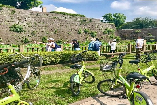 15 Best Tours In Kagoshima