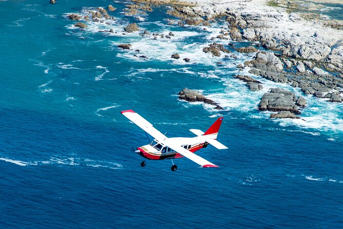 Kaikoura: Whale Watching Flight (Extended) - Good To Know
