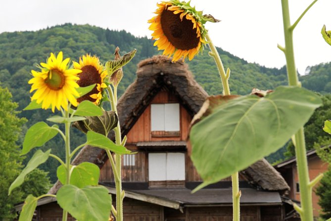 Kanazawa Takayama (One Way) Including Shirakawago (Private Tour)