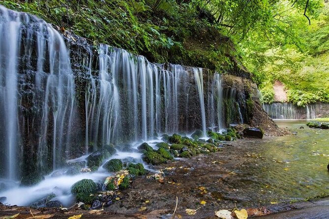 Karuizawa Full-Day Private Trip With Government-Licensed Guide