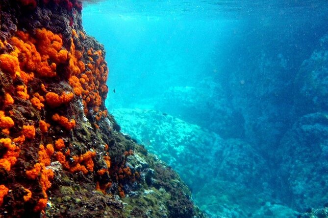 Kayak & Snorkel Tour in Cerro Gordo Natural Park, La Herradura - Good To Know