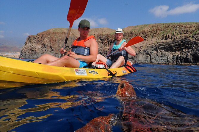 Kayaking With Dolphins and Turtles and Snorkelling in Tenerife - Good To Know