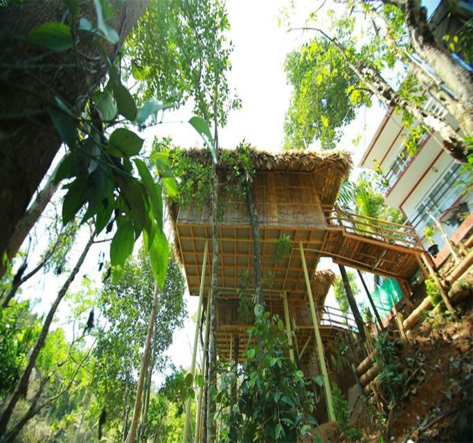 Kerala: 4-Day Tour With Tree House Stay & Houseboat Ride - Good To Know