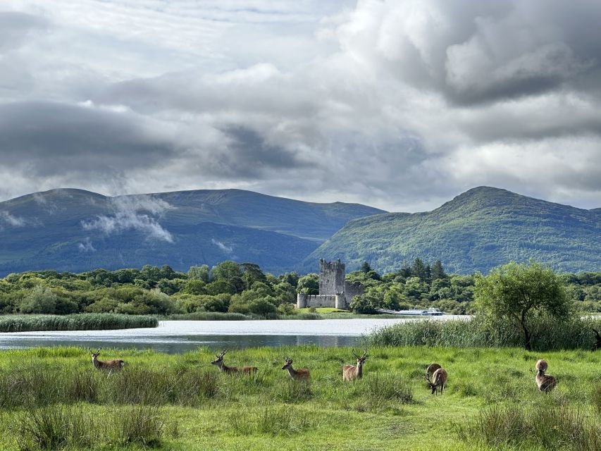 Killarney: Killarney National Park Private Tour - Good To Know