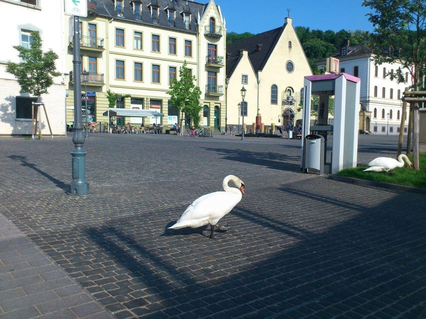 Koblenz: Private Guided Walking Tour - Good To Know