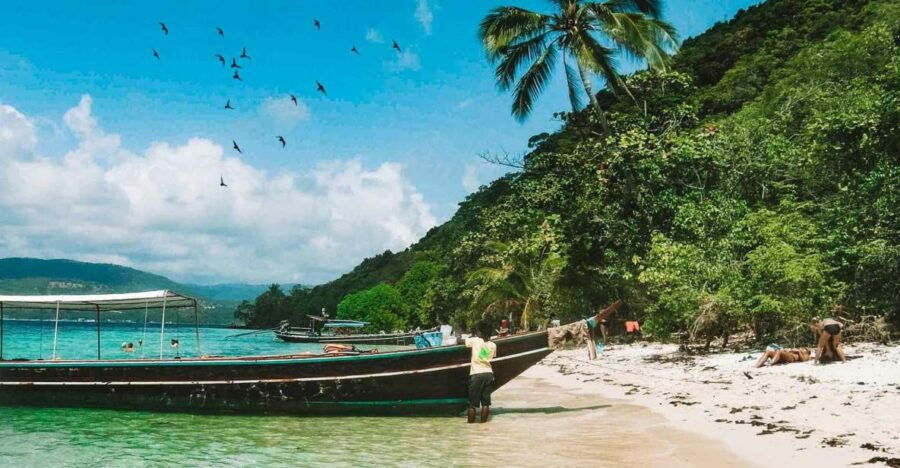 Koh Samui: Coral & Pig Island Longtail Boat Small-Group Tour