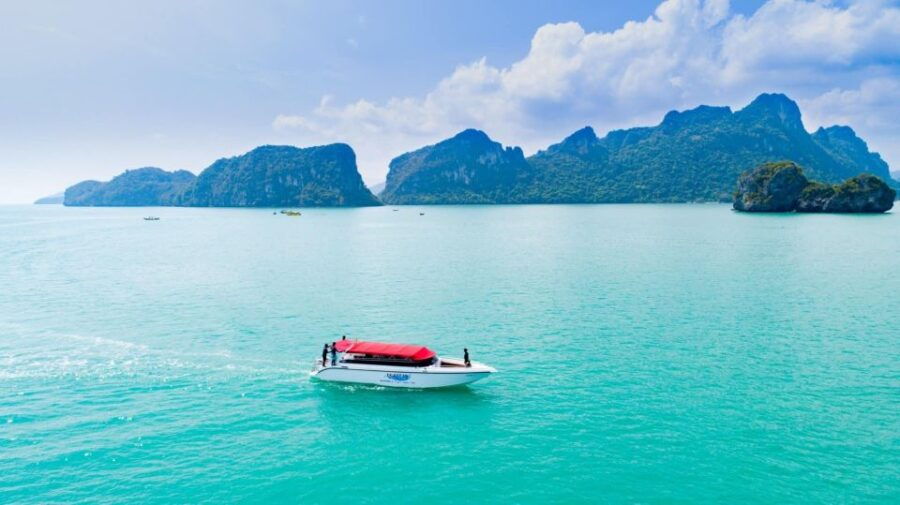 Koh Samui: Pink Dolphin Spotting & Pig Island Speedboat Tour - Good To Know