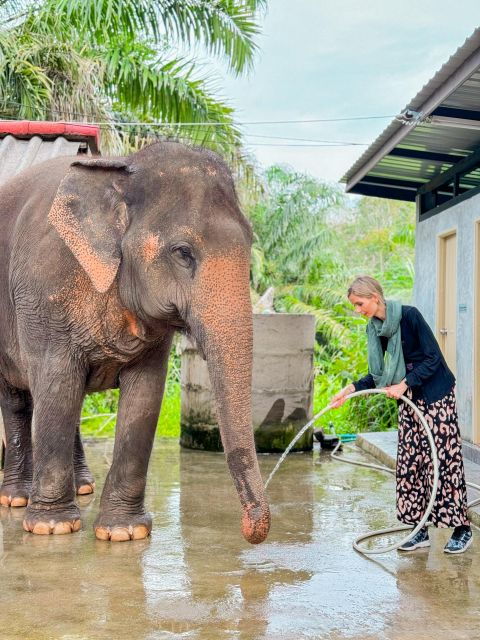 Koh Samui: Unique Iocal Tour & Elephant Sanctuary With Lunch