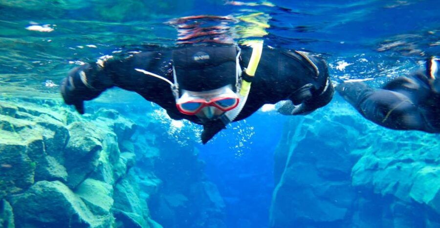 Las Palmas: Las Canteras Beach Snorkeling Trip - Good To Know